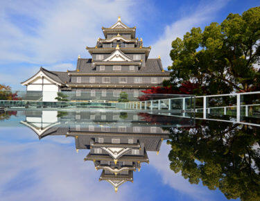 giappone-okayama-blueberry-travel (1)