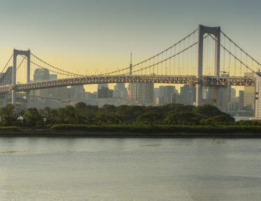 giappone-tokyo-rainbowbridge-blueberry