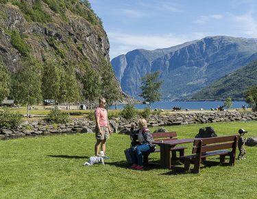 norvegia-fiordi-blueberry