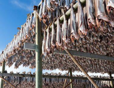 norvegia-isole-lofoten-blueberry-travel (8)