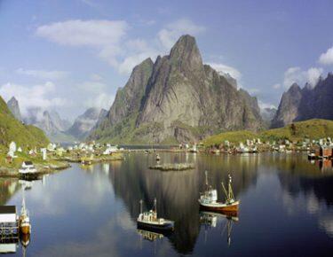 norvegia-lofoten-estate-blueberry