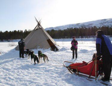 norvegia-tromso-husky-safari-blueberry-travel (22)