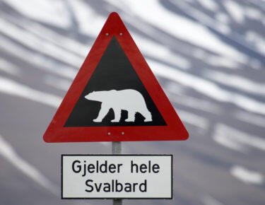 svalbard-cartello-orso-polare-01-blueberrytravel