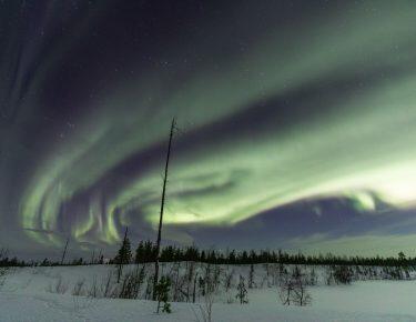 lapponia-aurora-boreale-blueberry-travel (2)