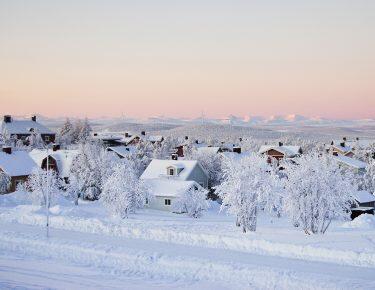 svezia-lapponia-kiruna-blueberry-travel (7)