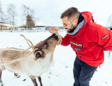 svezia-lapponia-renne-blueberry-travel (9)