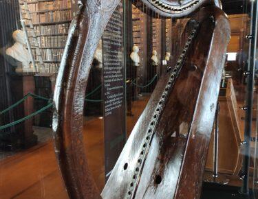 viaggi-irlanda-blueberry (2)