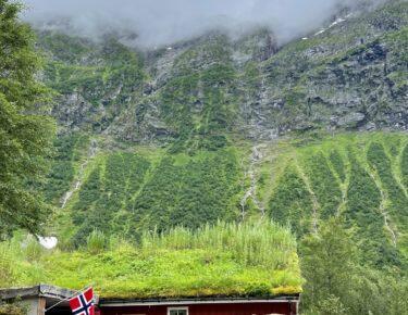 viaggio-norvegia-blueberry-fiordi (19)