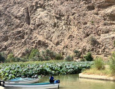 viaggio-oman-blueberry-travel (123)