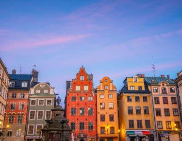 viaggio-svezia-stoccolma-blueberry